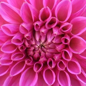 Meet your Posher, Marina